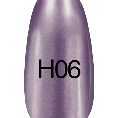 H06